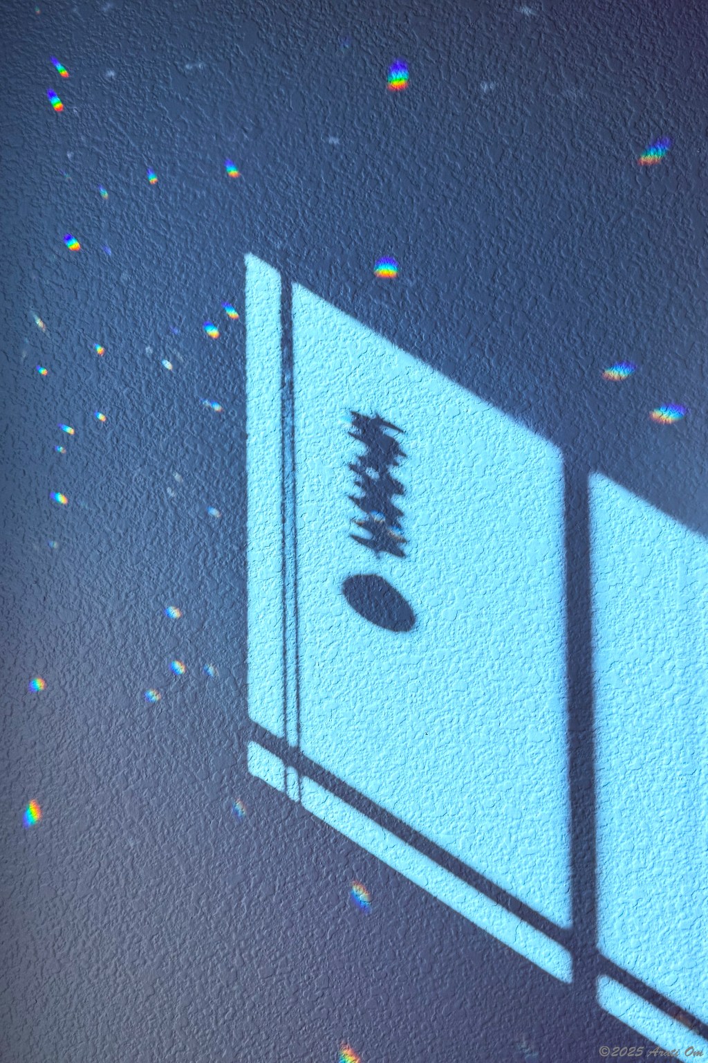 Silent Sunday: Morning&nbsp;light