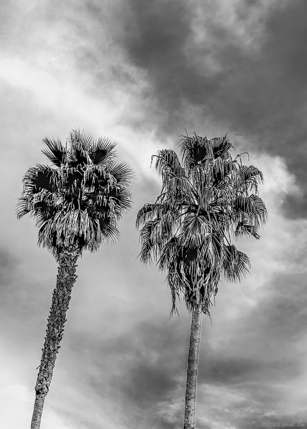 Monochrome Mondays: Hermanas