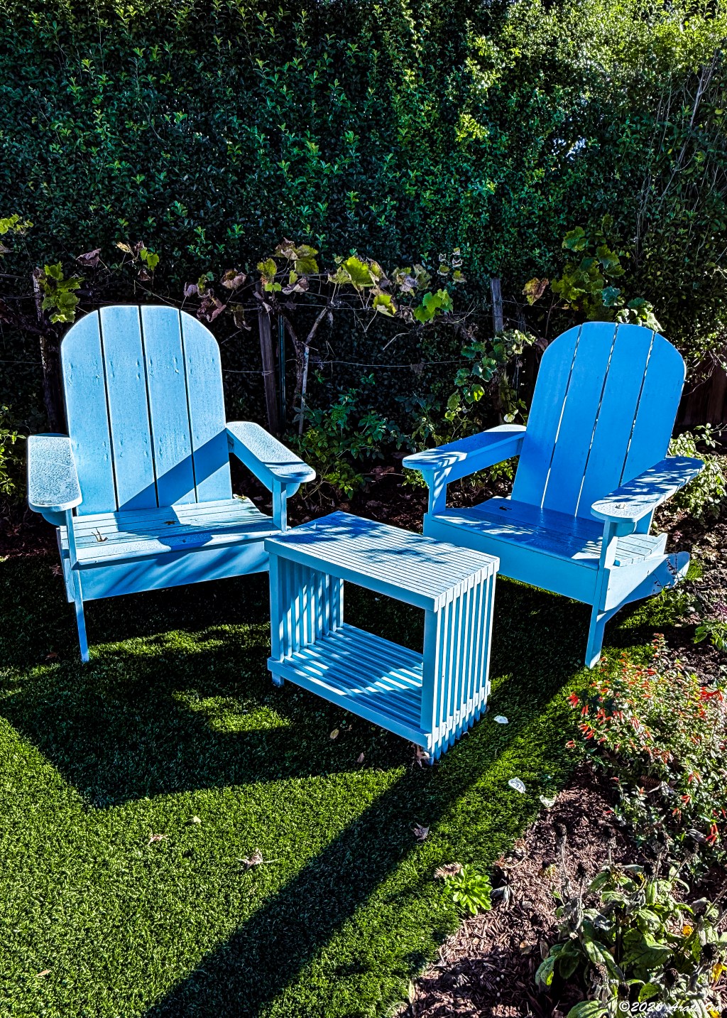 Silent Sunday: Imaginary&nbsp;conversation