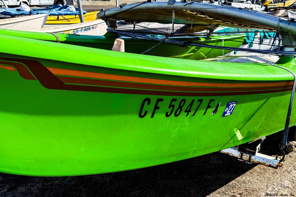 Orange striped green&nbsp;cat