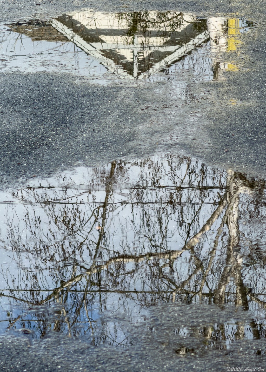 Puddles between storms