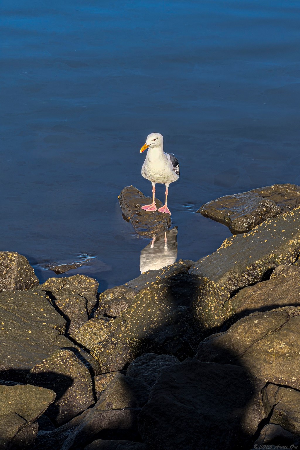 Good morning to you&nbsp;too