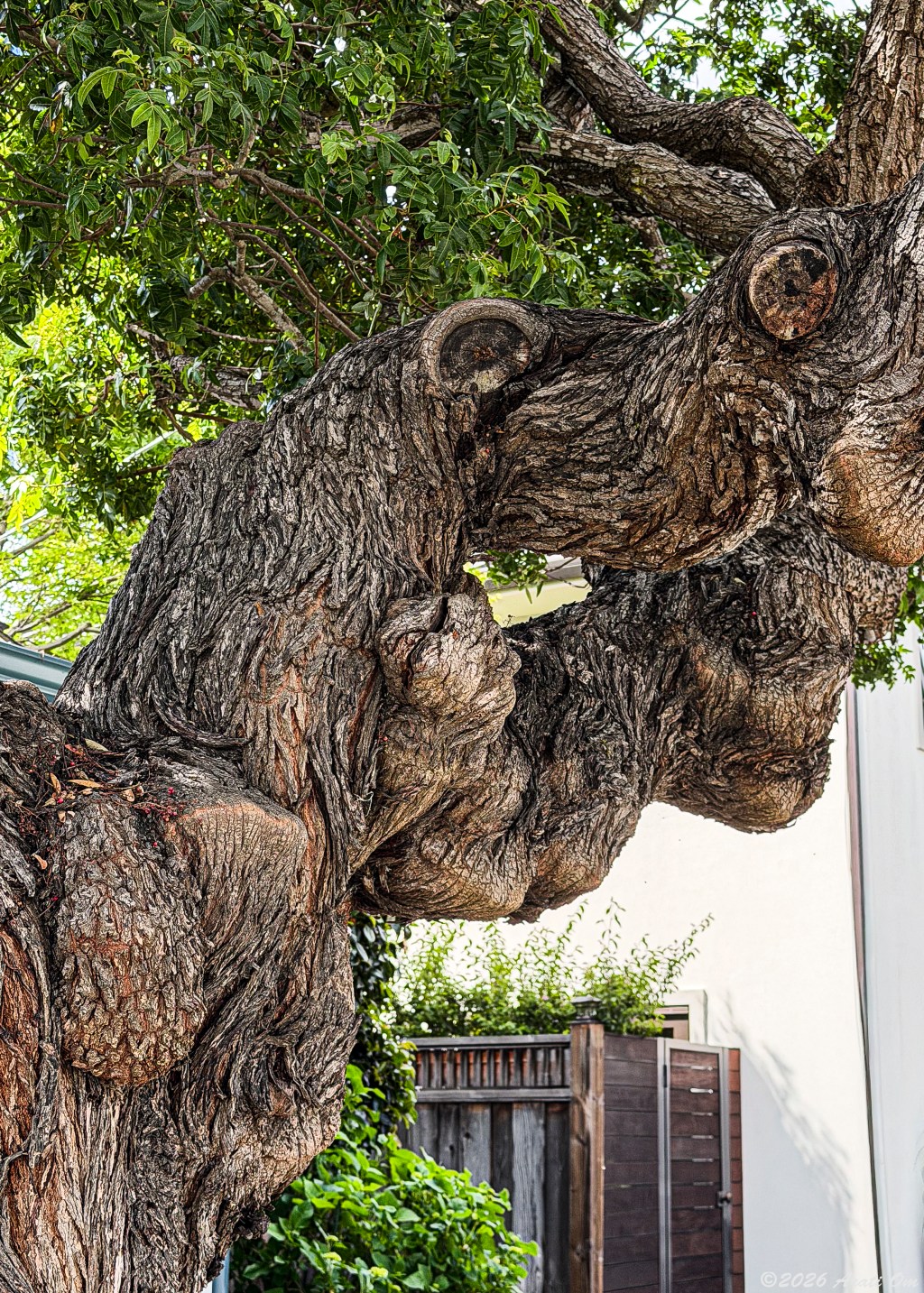 Traveling through time