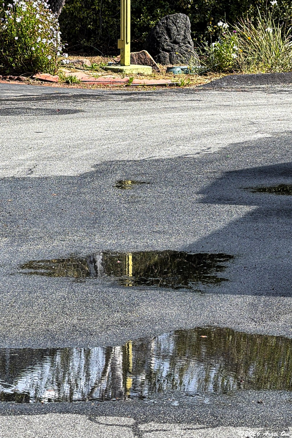 Puddle hopping