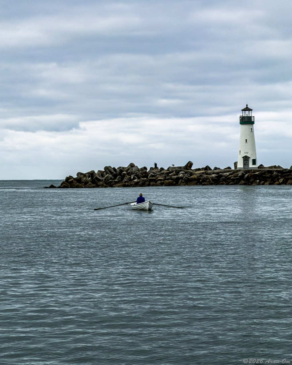 Silent Sunday: Rowing       Santa Cruz&nbsp;harbor
