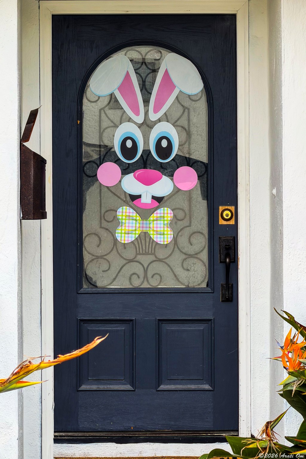 Thursday doors: Wabbit