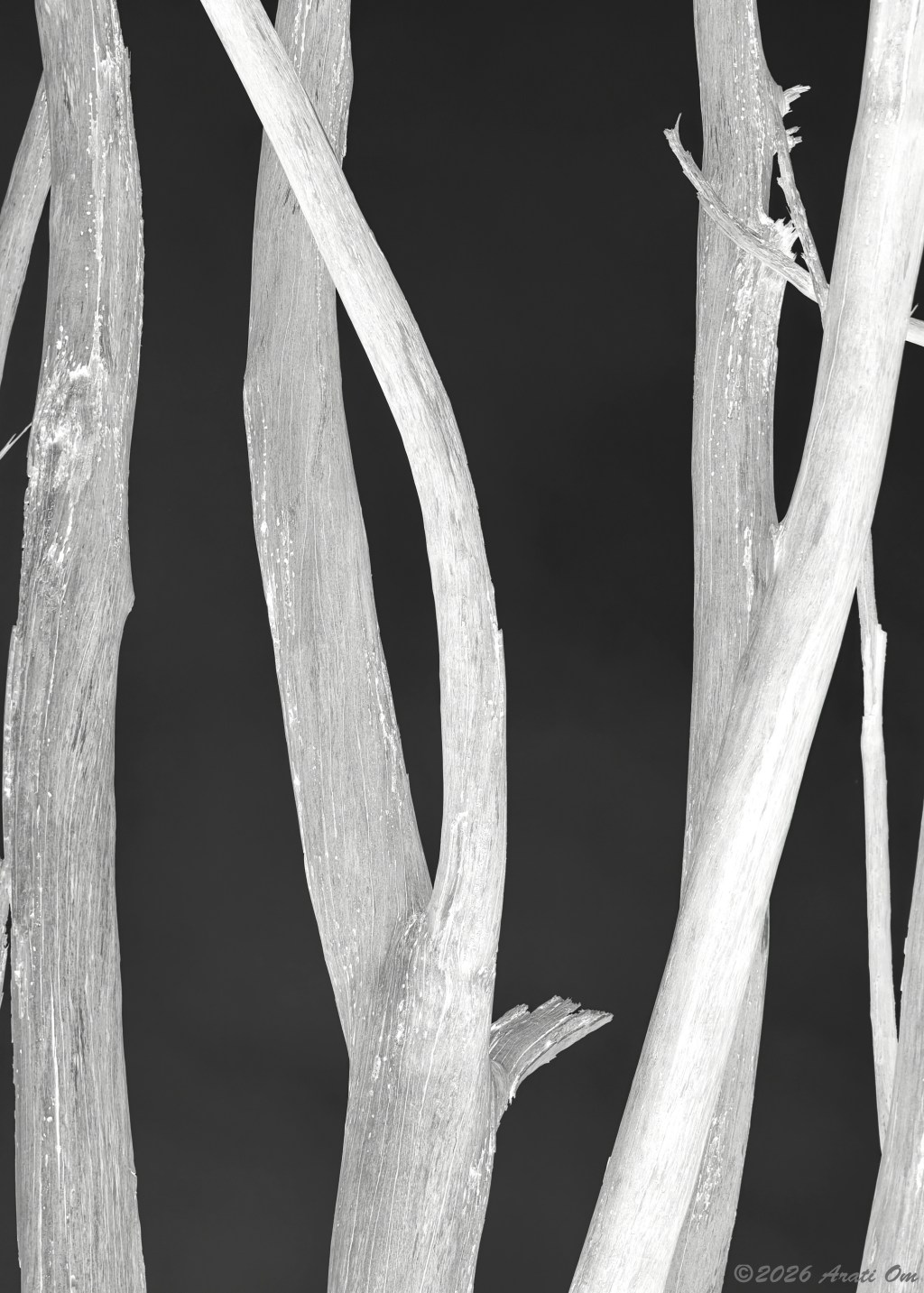 Silent Sunday: Fluid – monochrome&nbsp;inverted