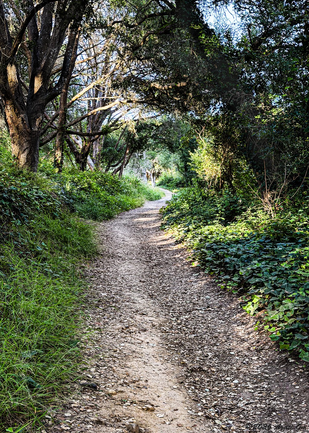 Un camino tranquilo