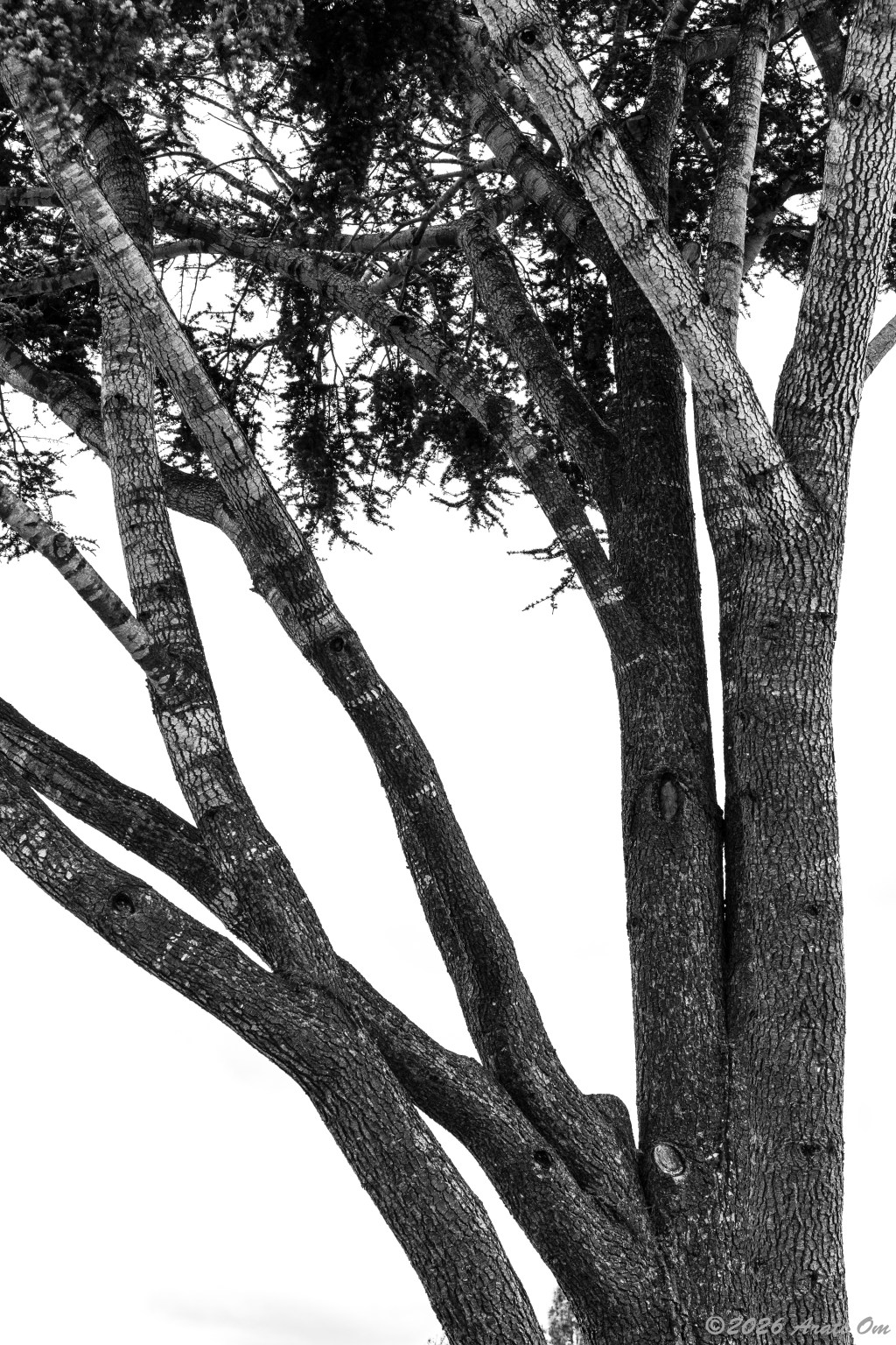 Wordless Wednesday: Looking into&nbsp;nothingness