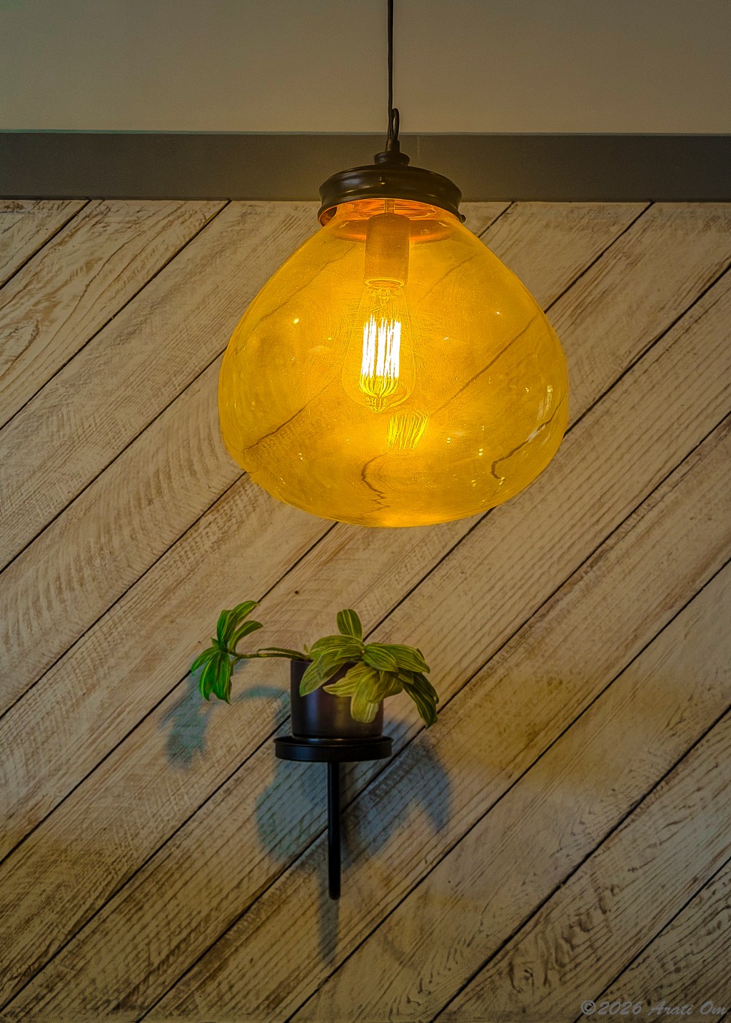 A lamp and a&nbsp;plant