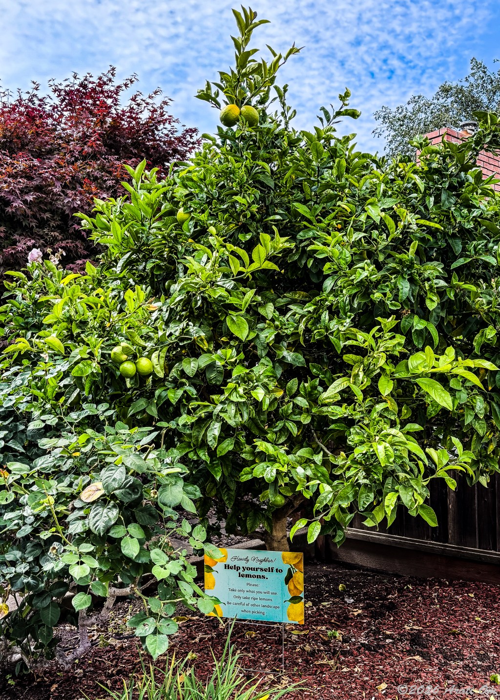 Neighborhood offerings