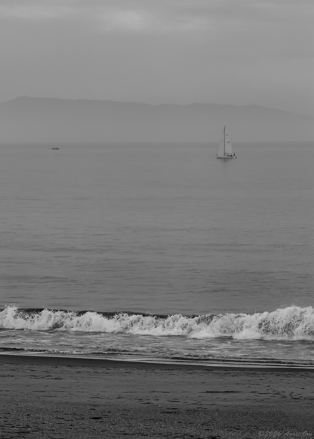 Monochrome Mondays: Summer fog in Santa&nbsp;Cruz