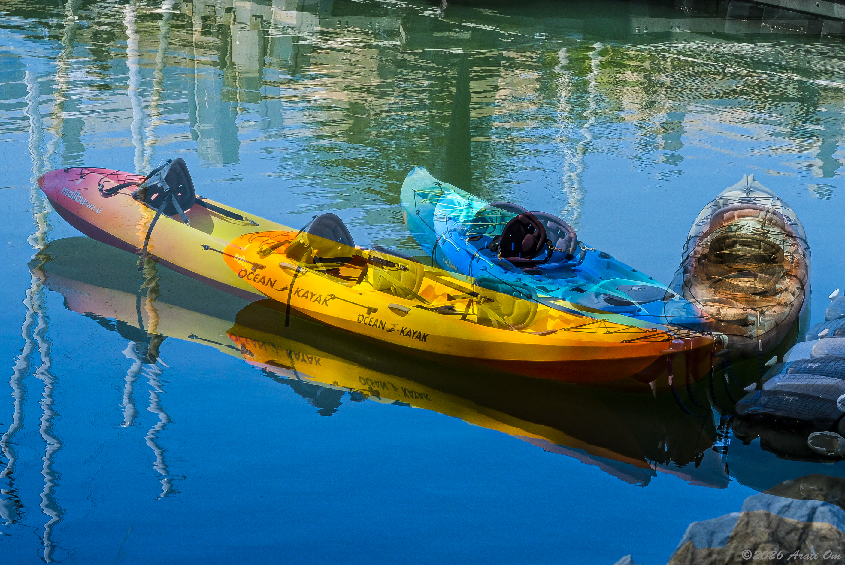 Kayaks multiplying