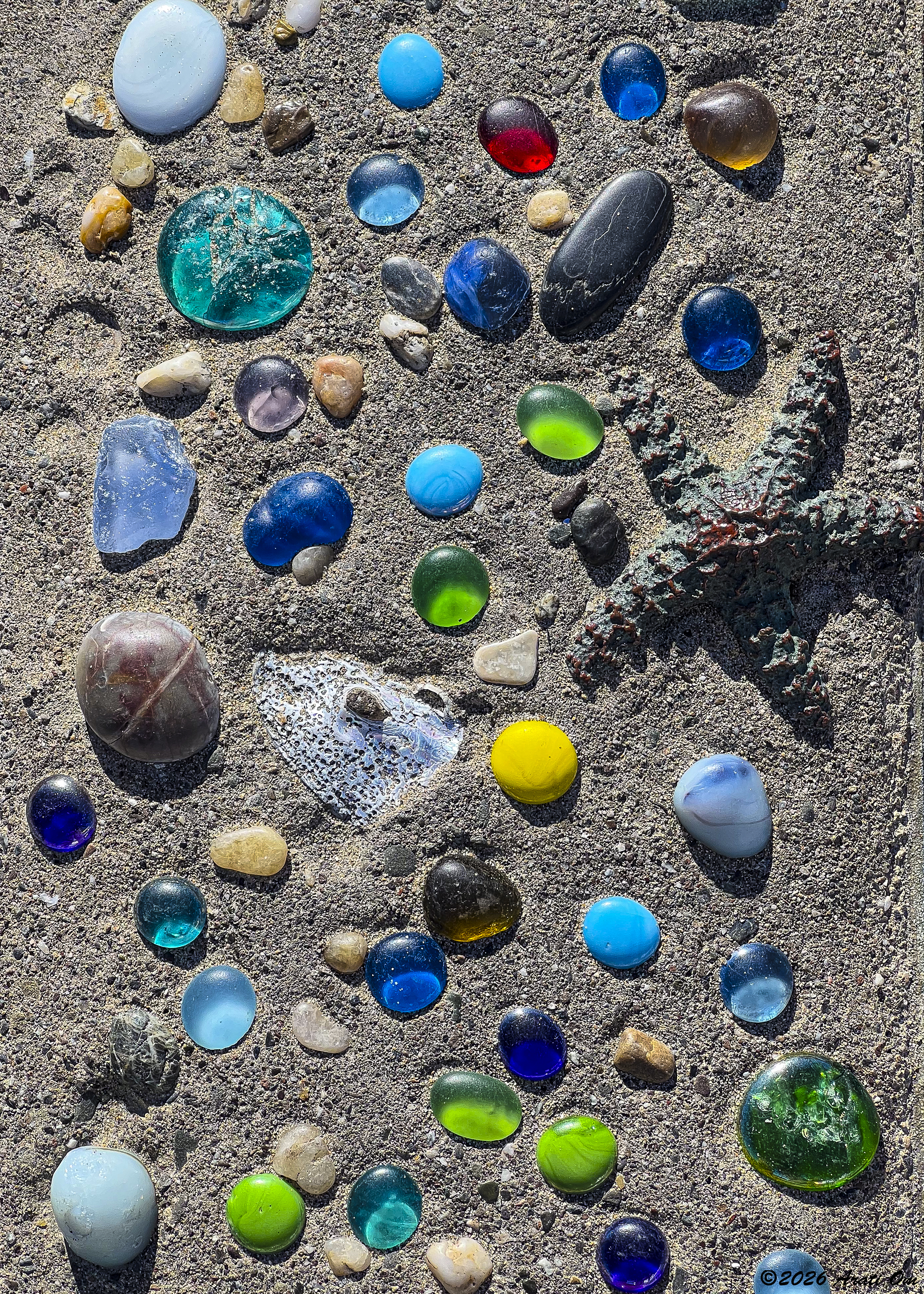 Wordless Wednesday