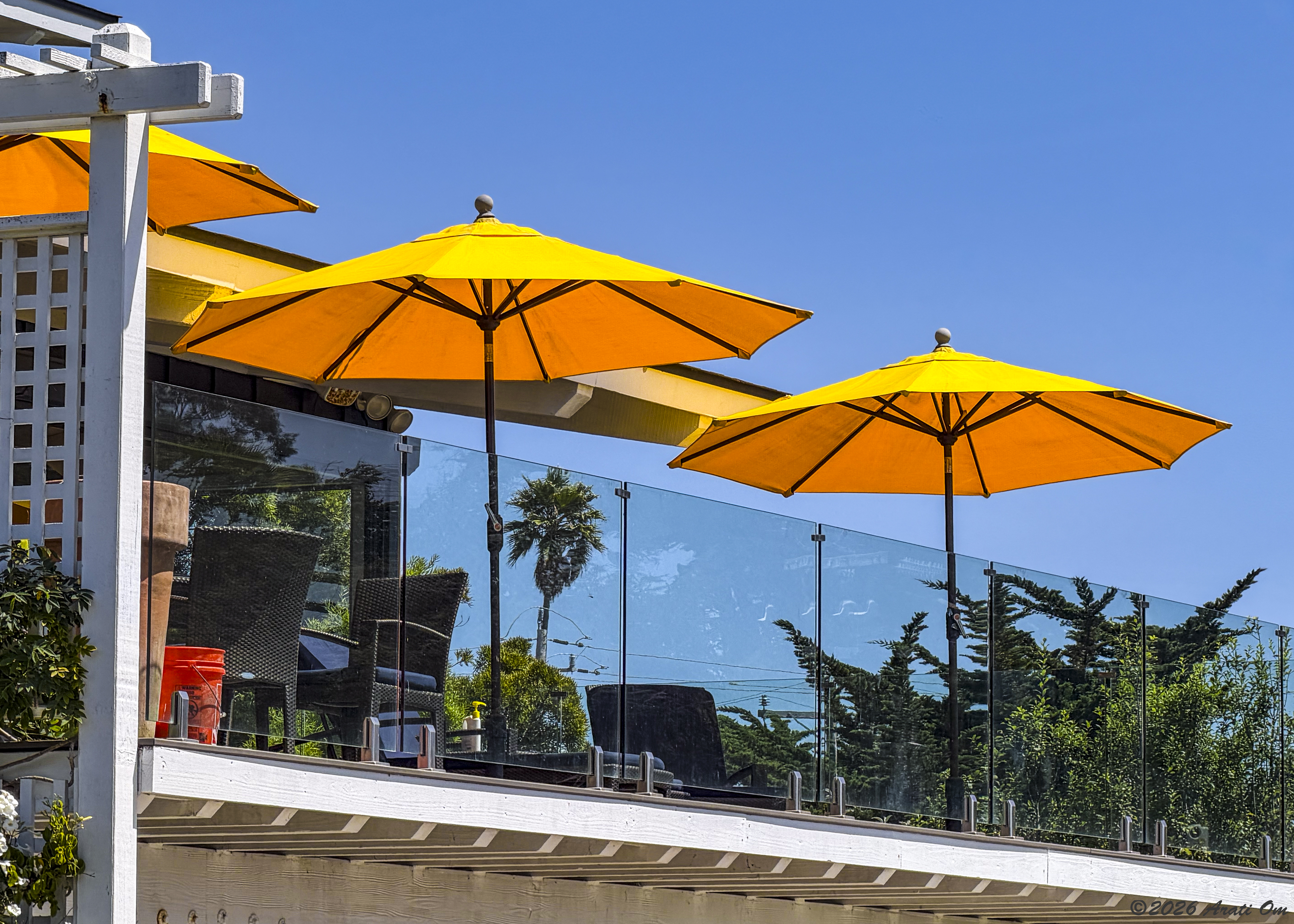 Yellow with a splash of orange