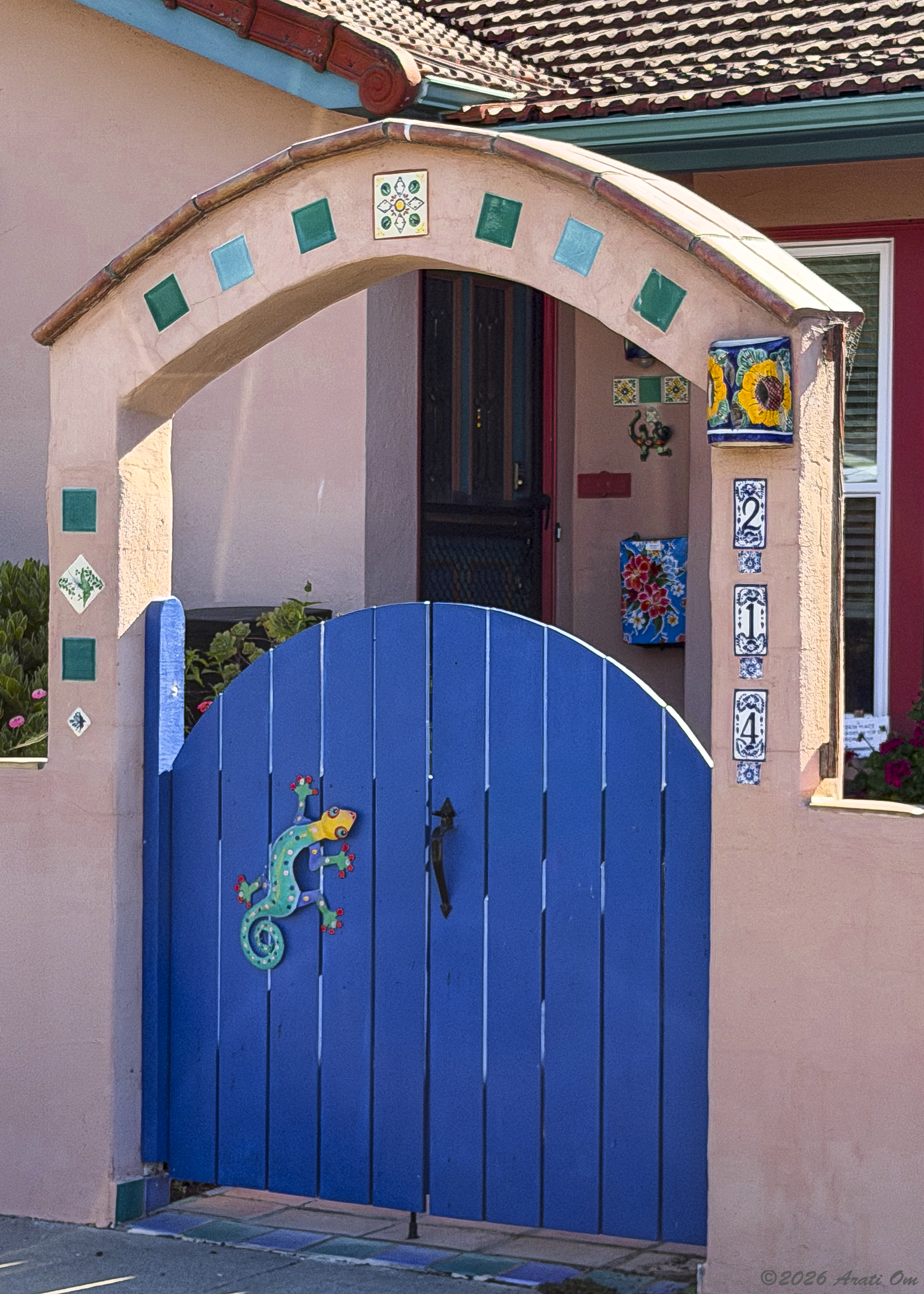 Thursday Doors: Gecko at 214