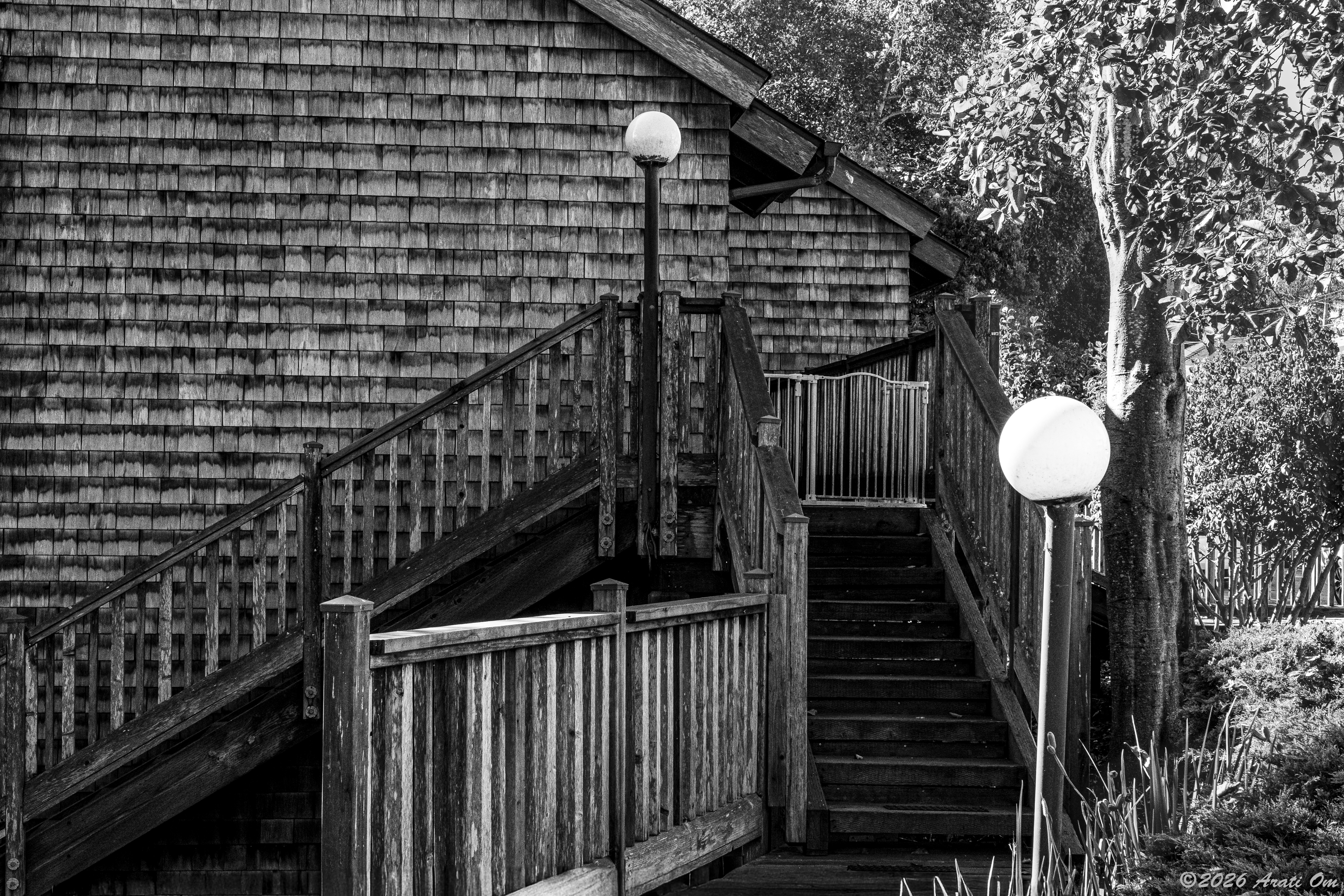 Monochrome Mondays: Two lamps on Mountainview