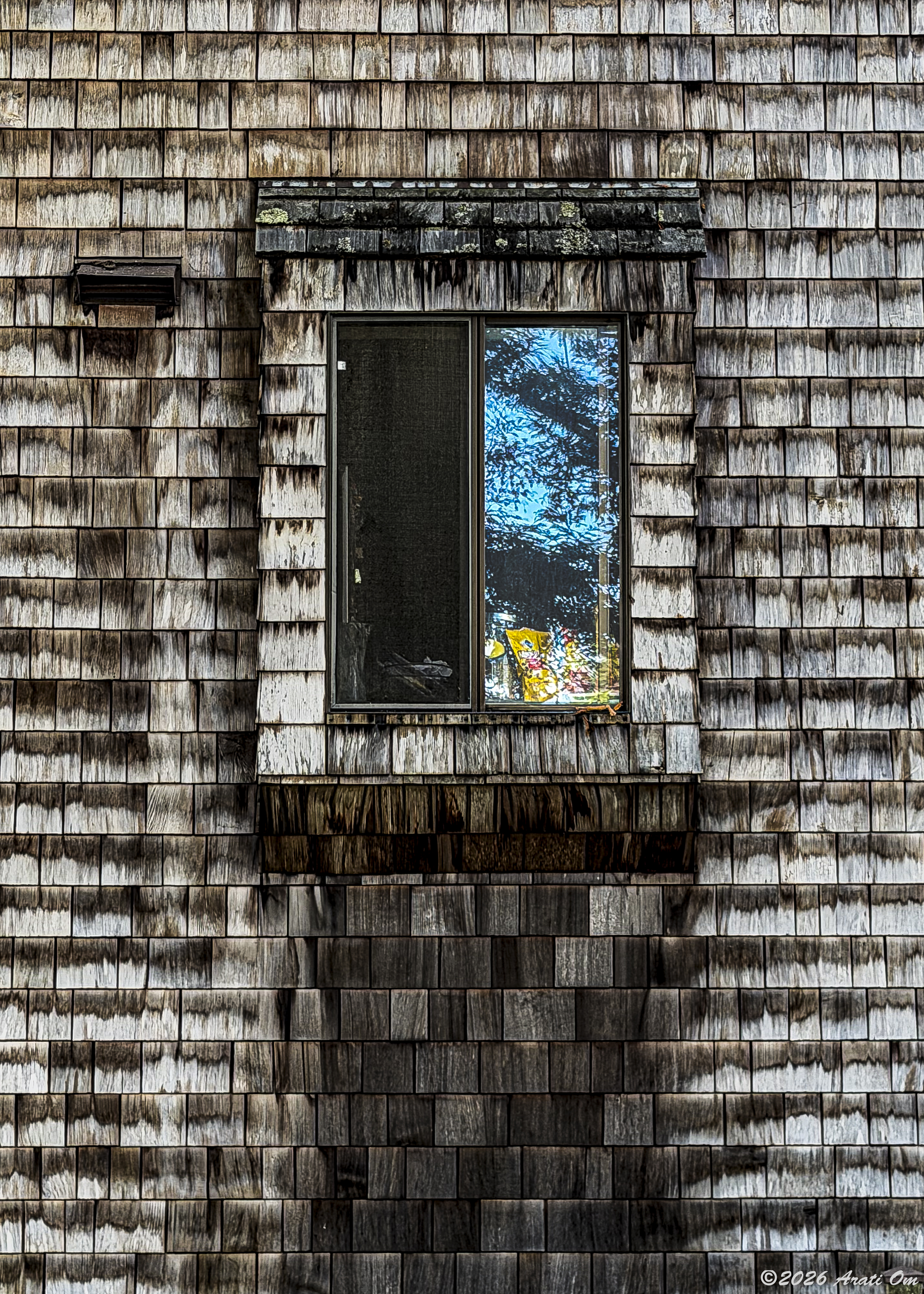 Shingles and a blue sky